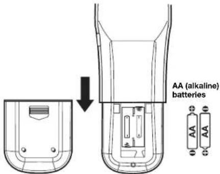 AA (alkaline) batteries