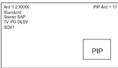 Ant-1 2 XXXX Standard Stereo SAP TV-PG DLSV SQV1 PIP Ant-1 17 PIP