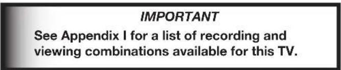 IMPORTANT See Appendix I for a list of recording and viewing combinations available for this TV.
