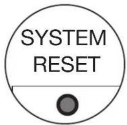 SYSTEM RESET