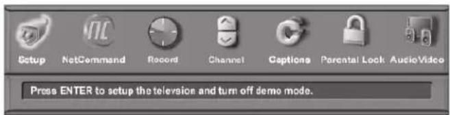 Setup NetCommand Record Channel Captions Parental Lock AudioVideo Press ENTER to setup the television and turn off demo mode.