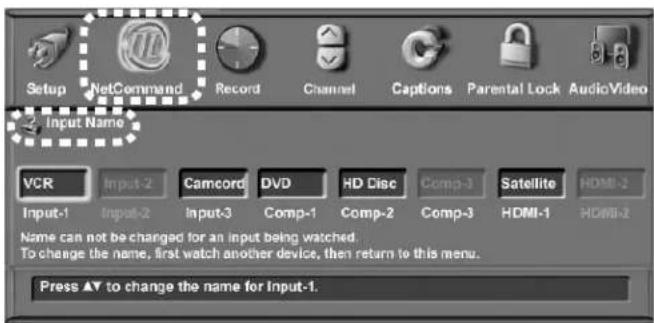 Setup NetCommand Record Channel Captions Parental Lock AudioVideo Input Name VCR Input-2 Camcord DVD HD Disc Comp-3 Satellite HDMI-2 Input-1 Input-2 Input-3 Comp-1 Comp-2 Comp-3 HDMI-1 HDMI-2 Name can not be changed for an input being watched. To change the name, first watch another device, then return to this menu. Press ▲ to change the name for Input-1.