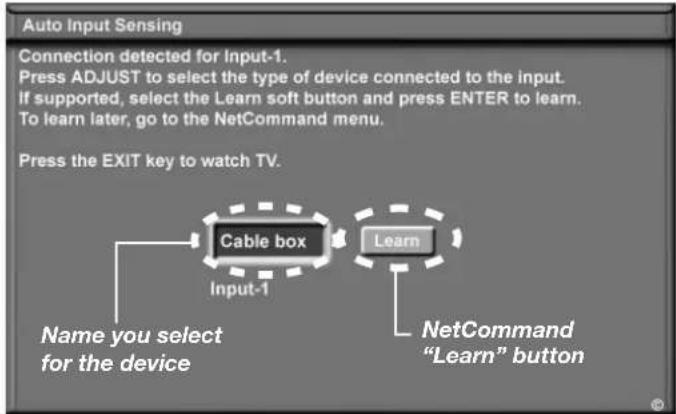 Auto Input Sensing Connection detected for Input-1. Press ADJUST to select the type of device connected to the input. If supported, select the Learn soft button and press ENTER to learn. To learn later, go to the NetCommand menu. Press the EXIT key to watch TV. Cable box Learn Input-1 Name you select for the device NetCommand "Learn" button