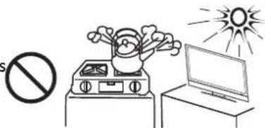 Palsonic PDP5055HD - IMPORTANT INFORMATION - 6