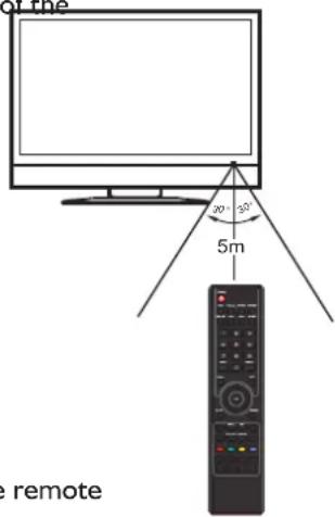 Palsonic PDP5055HD - Using the Remote Control - 1