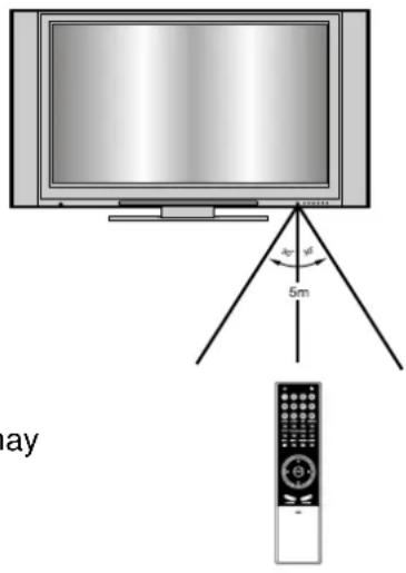 Palsonic PDP5010 - Using the Remote Control - 1