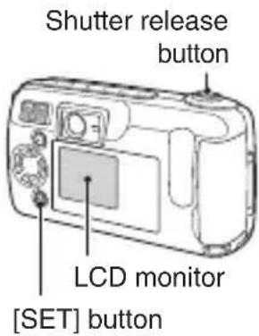 SANYO VPC-R1EX - Capture the pictures. - 1
