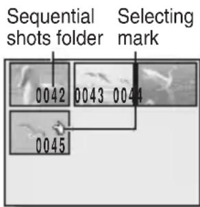 SANYO VPC-R1EX - Playing back several images at once (9-image display playback) - 3