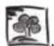 Freggia LC39 - SAFEGUARDING THE ENVIRONMENT - 1