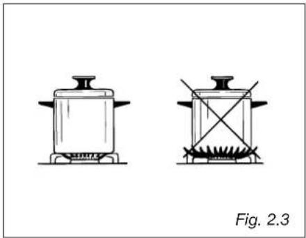 Avanti DGE2403SC - GAS BURNERS - 3
