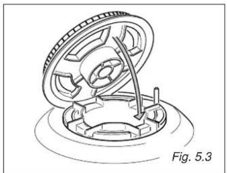 Avanti DGE2403SC - CORRECT REPLACEMENT OF THE BURNERS - 1