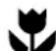 WESTINGHOUSE WLE644WA - IMPORTANT - 1