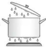 WESTINGHOUSE WLE644WA - USING THE HOTPLATES - 8