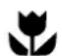 WESTINGHOUSE WLE644WA - IMPORTANT - 1