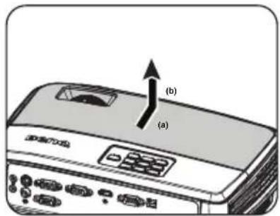 (a) (b)