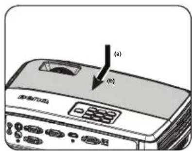 (a) (b)
