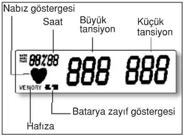FAKIR Lutea - UYARILAR - 2