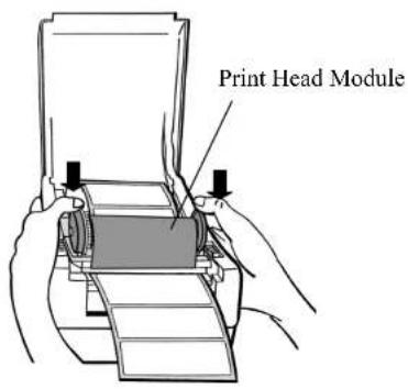 Print Head Module