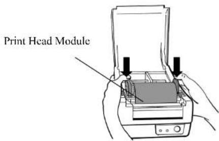 Print Head Module