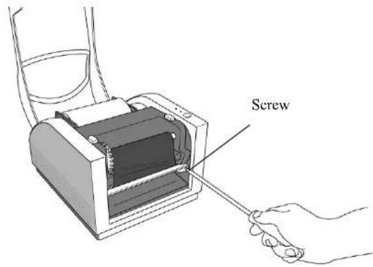 Screw