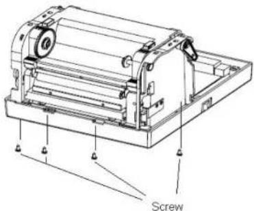 Screw