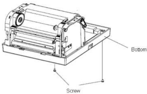 Bottom Screw