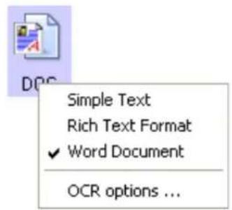 Simple Text Rich Text Format ✓ Word Document OCR options ...