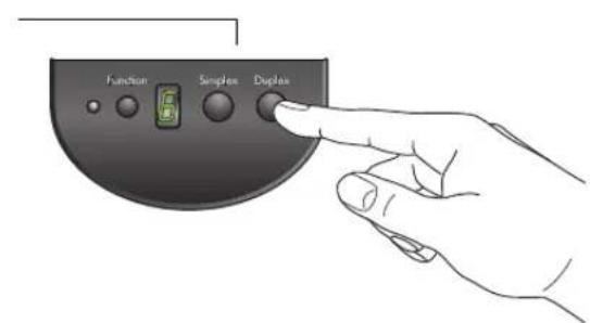 Function Simplex Displace