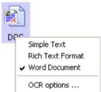 Simple Text Rich Text Format ✓ Word Document OCR options ...