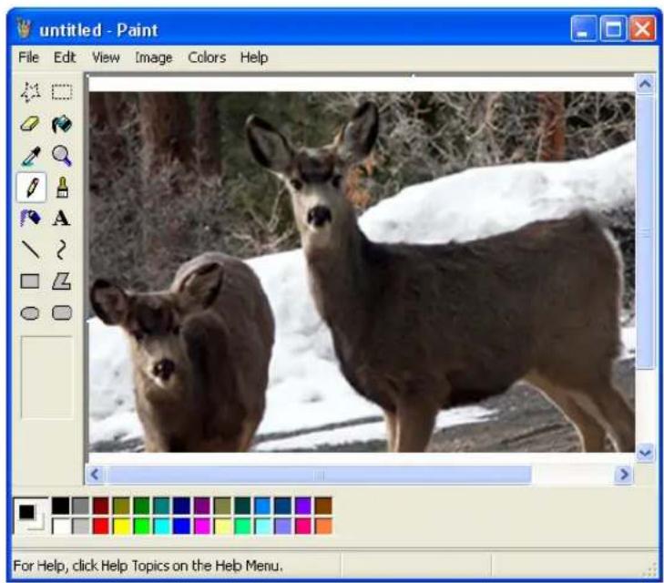 untitled - Paint File Edit View Image Colors Help For Help, click Help Topics on the Help Menu.