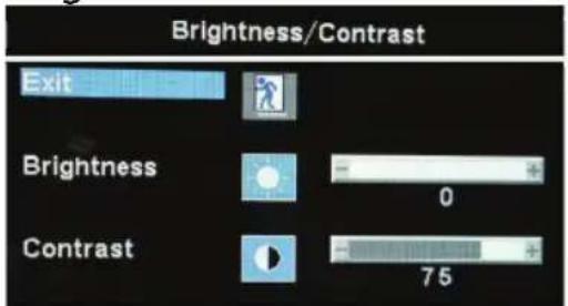 DoubleSight DS-245V2 - Note! - 1