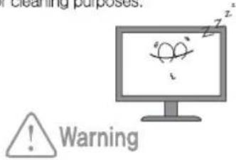DoubleSight DS-245V2 - Safety Precautions - 5