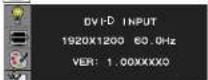 DoubleSight DS-263N - Function Description - 2