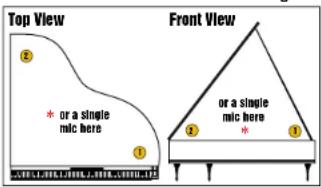 Top View * or a single mic here Front View * or a single mic here
