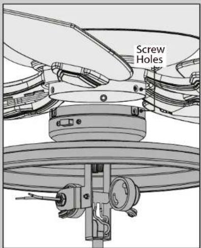 Screw Holes