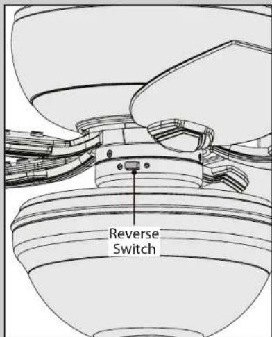 Reverse Switch