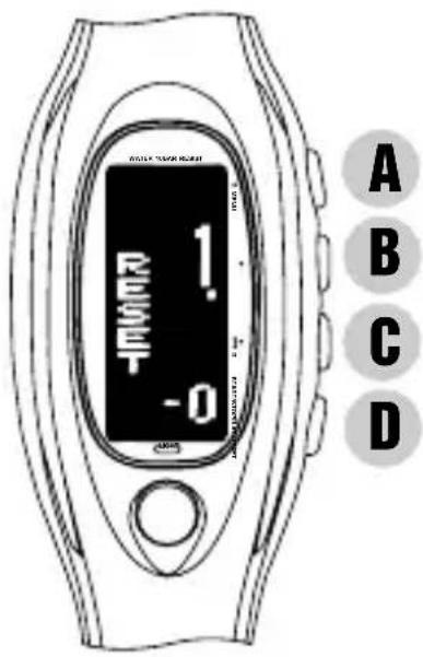 PULSAR W442 - TIMER MODE - 4
