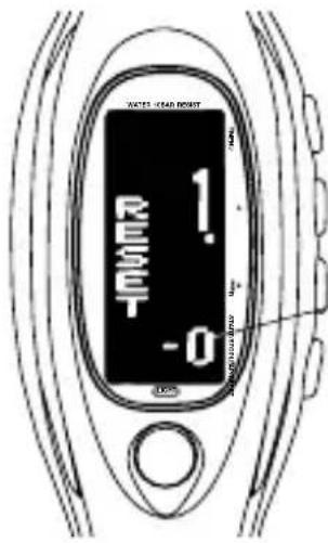 PULSAR W442 - TIMER MODE - 3