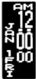 PULSAR W442 - Years - 1