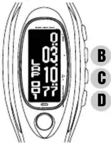 PULSAR W442 - STOPWATCH MODE - 3