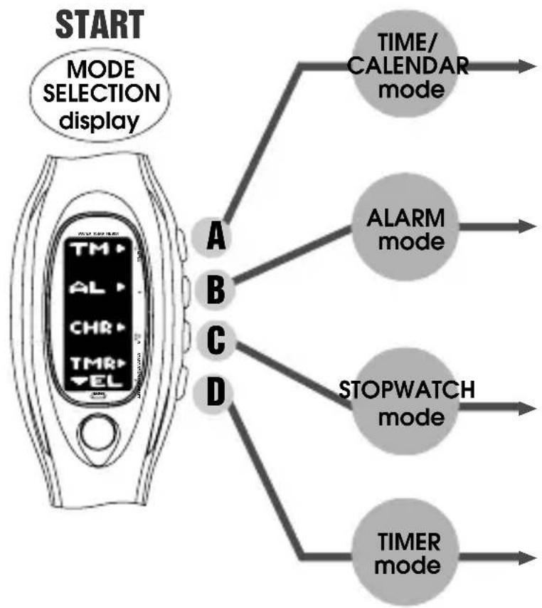 PULSAR W442 - W442 DIGITAL QUARTZ - 1