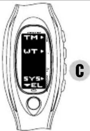 PULSAR W442 - TIME DIFFERENCES - 1