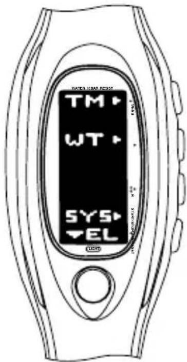PULSAR W442 - TIME/CALENDAR MODE - 1