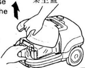 se ne 来生血