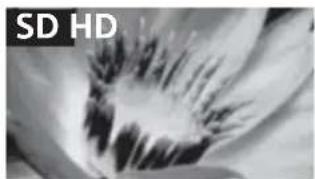SONY KDL40RE453BU - Picture Quality - 1