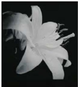 VDiGi 24DTV1080PS - Photo - 6