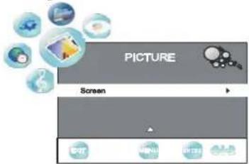 PICTURE Screen
