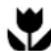 Bendix BIW 1202 - Ecological hints - 1