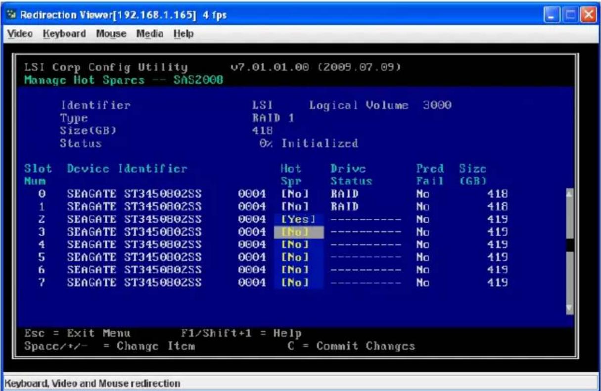 Supermicro AOC-USAS2-L8E - Creating Hot Spare Disks - 1