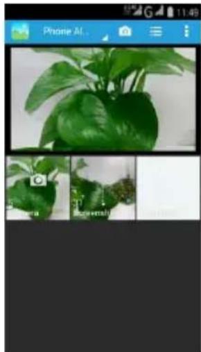 INFOCUS M415 - Viewing Photos and Videos - 1